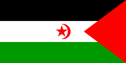 flag-Sahara Occidental